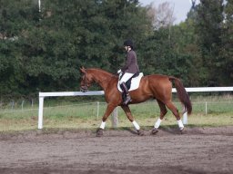 IMG_7878_web